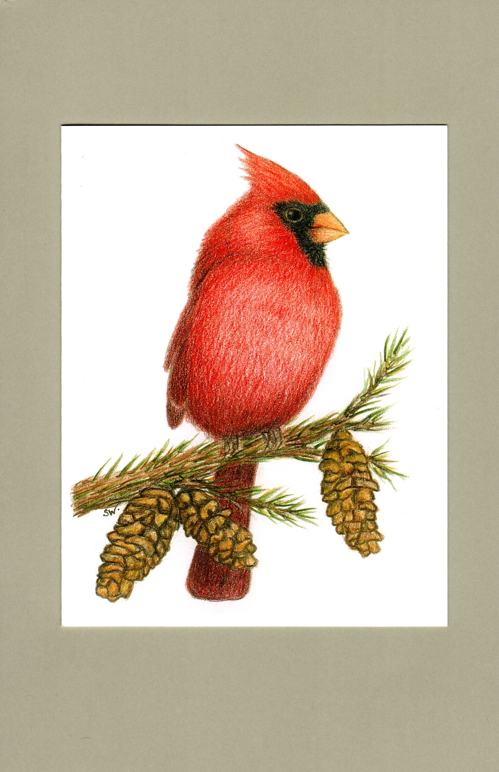 Cardinal Note Card